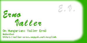 erno valler business card